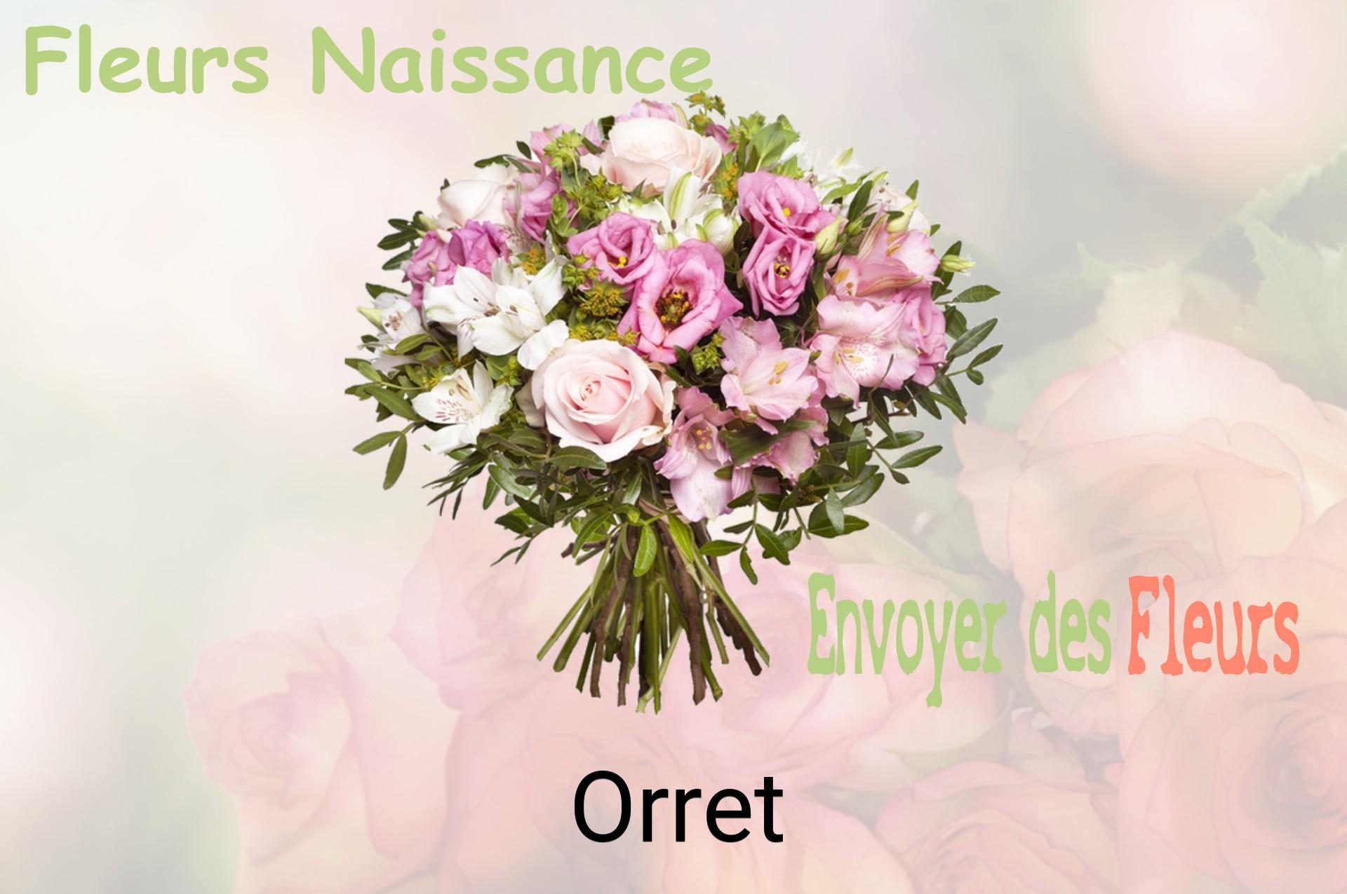 Bouquet de fleurs de naissance livré à Orret